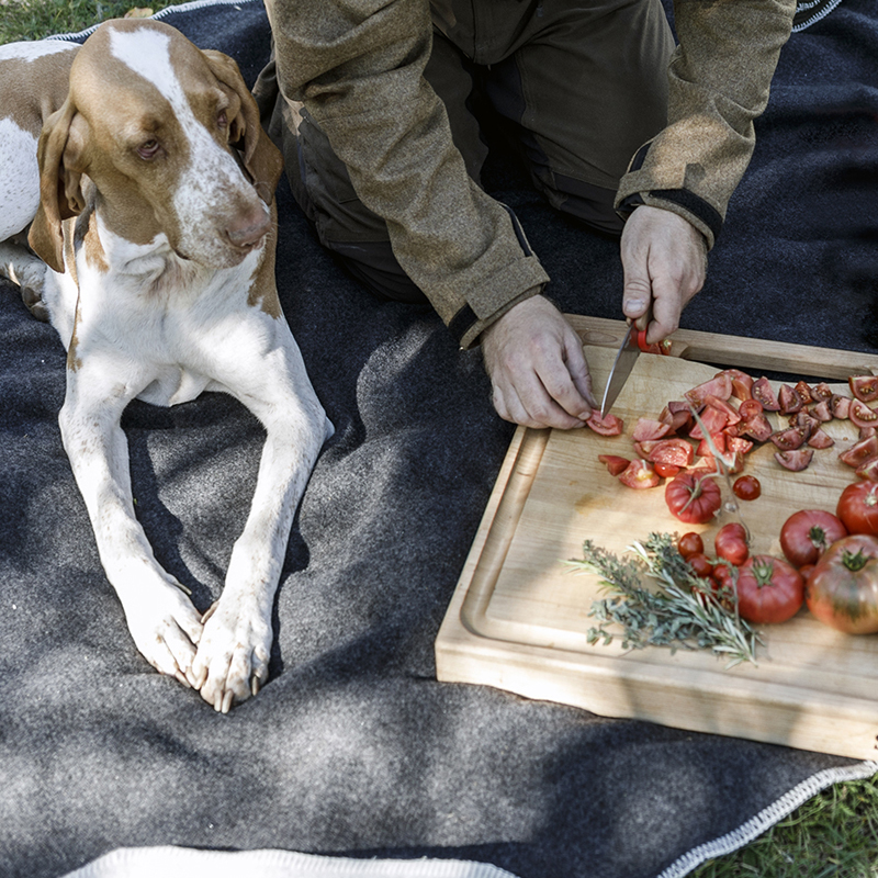 Petromax Wollen Deken Wit/Grijs 150 x 200 - Afbeelding 6